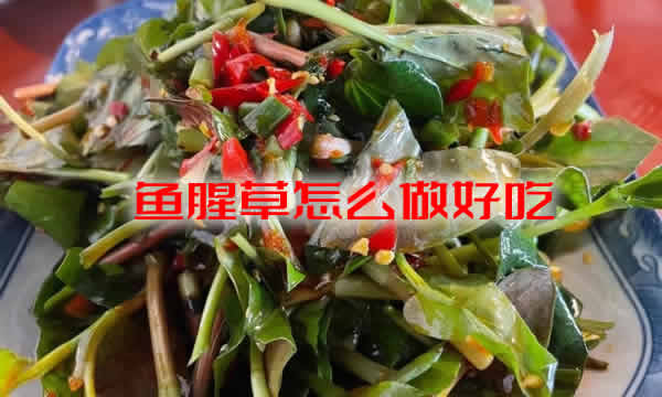 分享给大家鱼腥草怎么做好吃及鱼腥草的功效