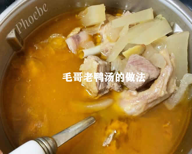 酸萝卜和鸭肉一起炖的毛哥老鸭汤口感清香营养丰富