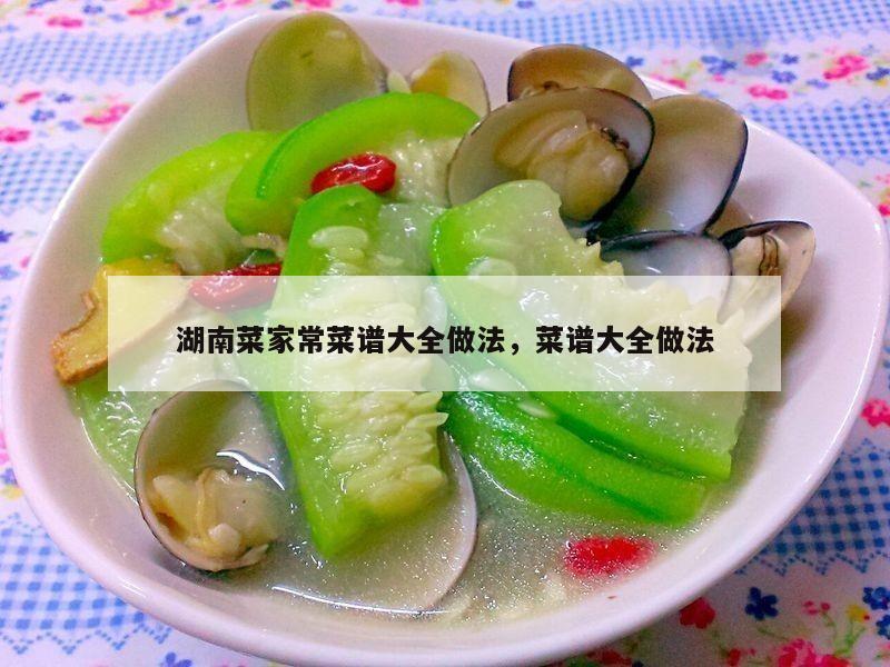 湖南菜家常菜谱大全做法，菜谱大全做法