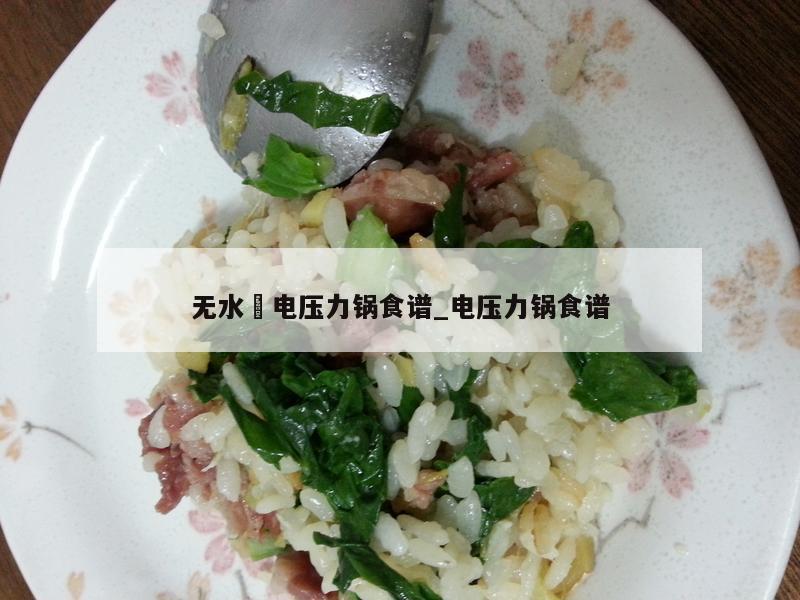 无水焗电压力锅食谱_电压力锅食谱