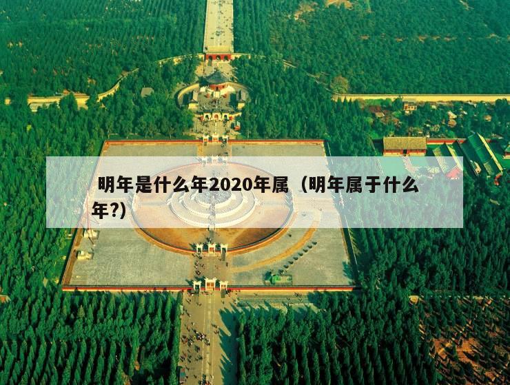  明年是什么年2020年属（明年属于什么年?）